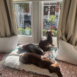 Snuggle Sack Beds