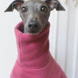 Raspberry Fleece