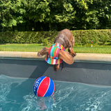 Doggy Sunhats