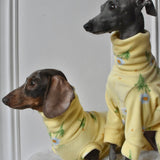 Spring Yellow Daisy Fleece