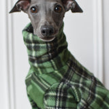 Holly Green Plaid