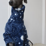 Back to School Bundle