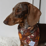 Pumpkin Patch Bandana