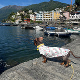 Under the Sea - Little Lobster Stripe