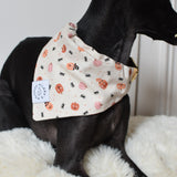 Spooky Halloween Bandana