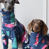 Christmas Dino 🦖 🦕