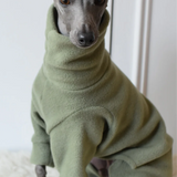 Back to School Bundle