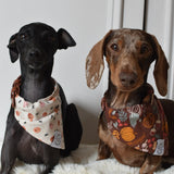 Spooky Halloween Bandana