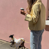Italian Riviera- Large Lemon Jersey