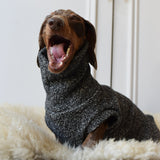 Grandad’s Jumper