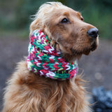 Black Friday Snood 3x Bundle