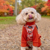 Rust Fleece