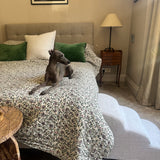 Pet Steps