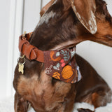 Pumpkin Patch Bandana