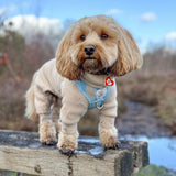 Black Friday Christmas Bundle x3 Fleece