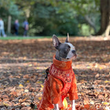 Ltd Autumn Leaves Fleece