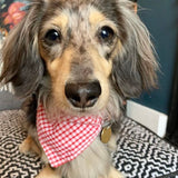 Gingham Bandana Neckerchiefs