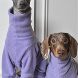 Back to School Bundle