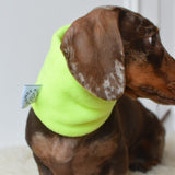 Fleece Snood