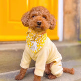 Lemon Fleece
