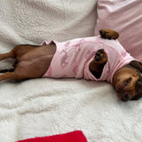 Pink Velvety Dino