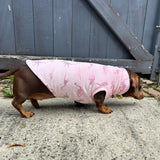 Pink Velvety Dino