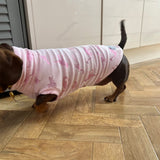 Pink Velvety Dino