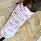Pink Velvety Dino
