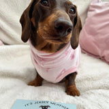Pink Velvety Dino