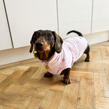 Pink Velvety Dino