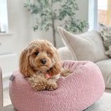 Sherpa Bed