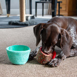 Pawty Snuffle Cupcake Toy