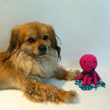 Rope Octopus Dog Toy