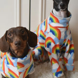 Rainbow Fleece 🌈