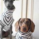 Classic Breton Jersey
