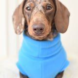 Fluro Fleece