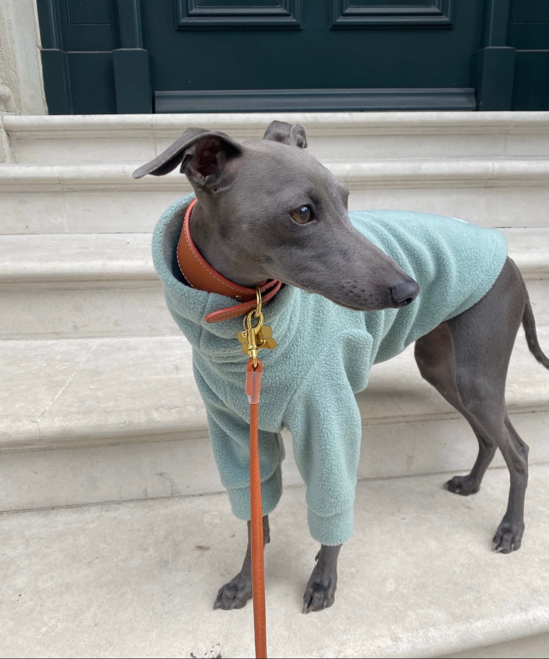 Mint Fleece