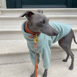 Mint Fleece