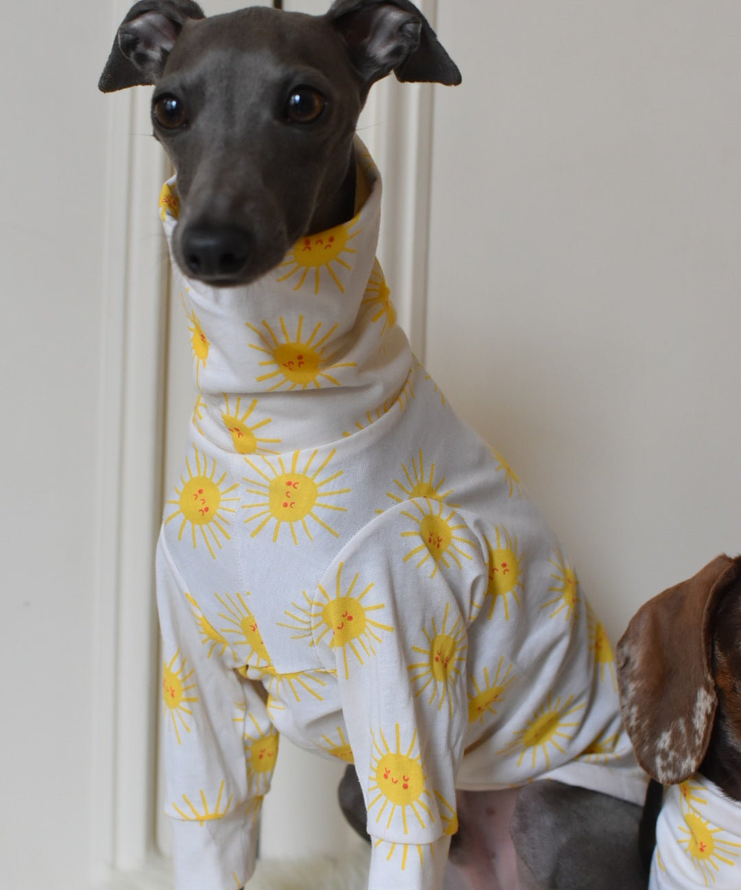 Sunshine Cotton Jersey