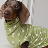 Daisy Jersey