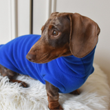Blue Fleece
