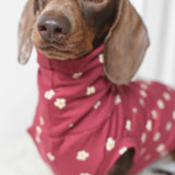 Daisy Jersey