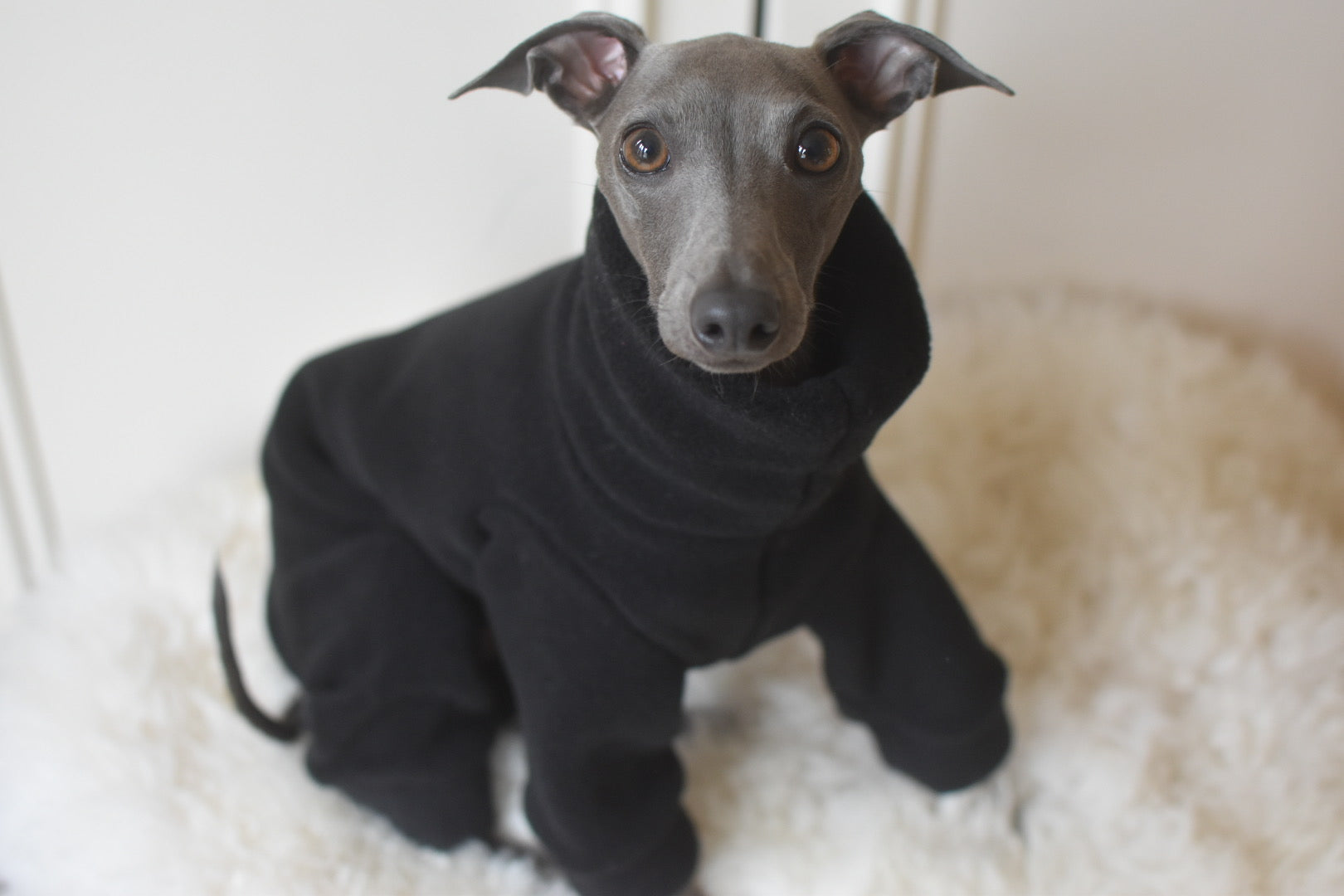 Black Fleece