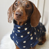 Daisy Jersey
