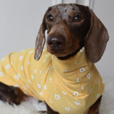Daisy Jersey