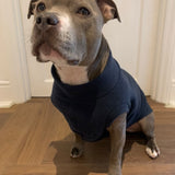 Navy Fleece