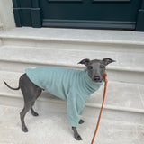Mint Fleece