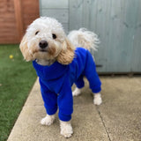 Blue Fleece