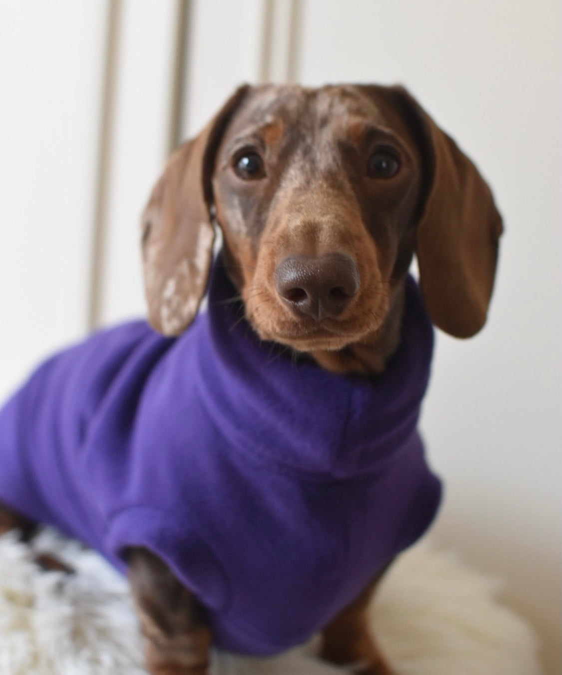Purple Fleece