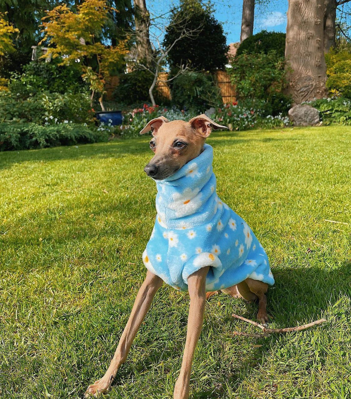 Daisy Super Soft Fleece